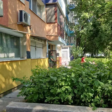 Turquoise * Bukareszt